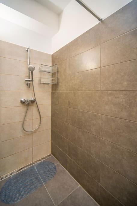 Grace Pine Apartment 1 布达佩斯 外观 照片